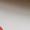 Rot